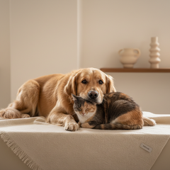 Dierenbenodigdheden