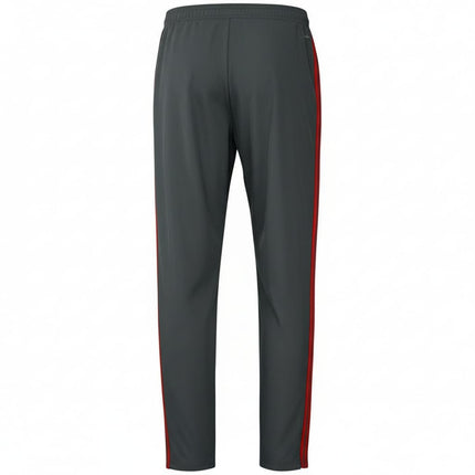 Bayern Munich Training Presentation Soccer pants 2018/19 - Adidas-1