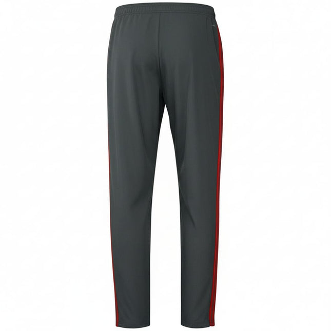 Bayern Munich Training Presentation Soccer pants 2018/19 - Adidas-1