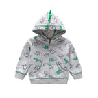 Grey Dinosaur / 12M