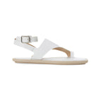 37 / White