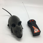 Grey mouse