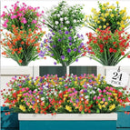 24pcs