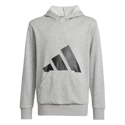 Hooded Sweatshirt for Girls Adidas Big Logo French Terry Hd Light grey