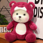 Transformation Bear / 25cm