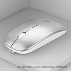 Silver / Dual mode luminous version