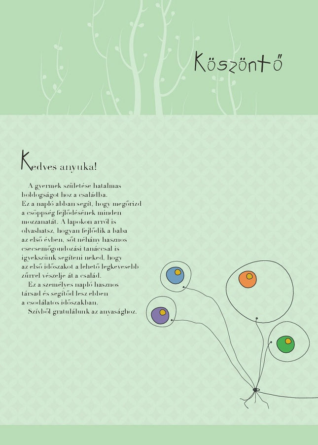 Napraforgó Napló a babám első évéről (fiús)-1