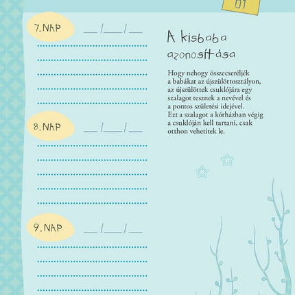 Napraforgó Napló a babám első évéről (fiús)-6