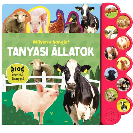 Napraforgó Milyen a hangja? - Tanyasi állatok-0
