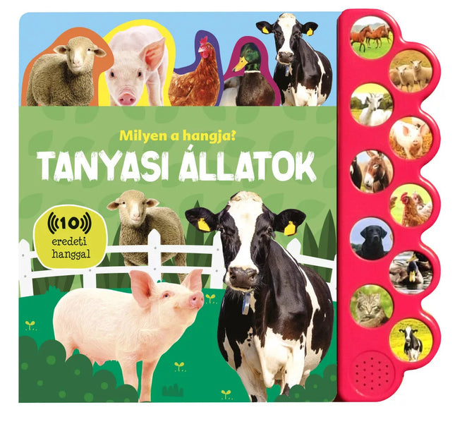 Napraforgó Milyen a hangja? - Tanyasi állatok-0