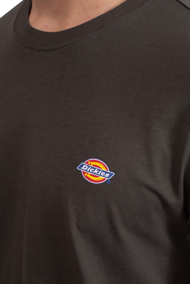 DICKIES - Men's Mapleton T-shirt  - Size XS-20