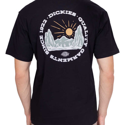DICKIES - Men's Outdoor T-shirt  - Size L-3
