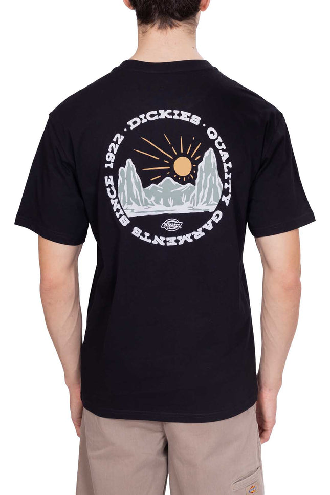 DICKIES - Men's Outdoor T-shirt  - Size L-3