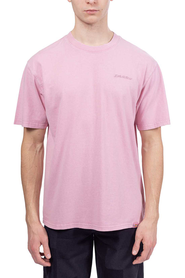 DICKIES - Men's Plentywood T-shirt-3