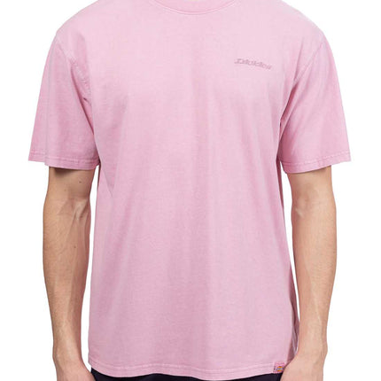 DICKIES - Men's Plentywood T-shirt-11