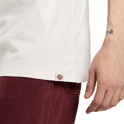 DICKIES - Men's Bolivar T-shirt-0