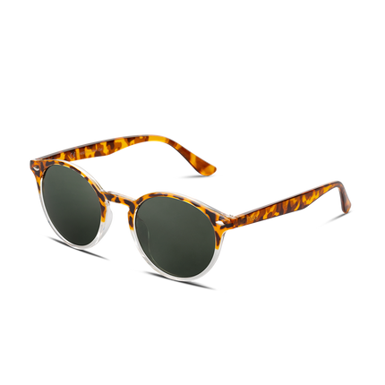 POLLOCK-1