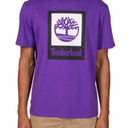 viola / XL