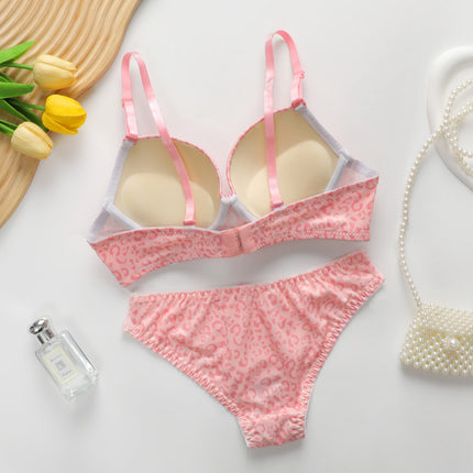 Women's Lingerie Set, Push-up, Comfortable Women's Underwear Set