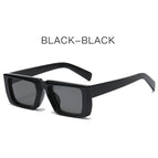 Black And Grey Lens