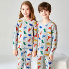 Long sleeve grey dinosaur / 100cm