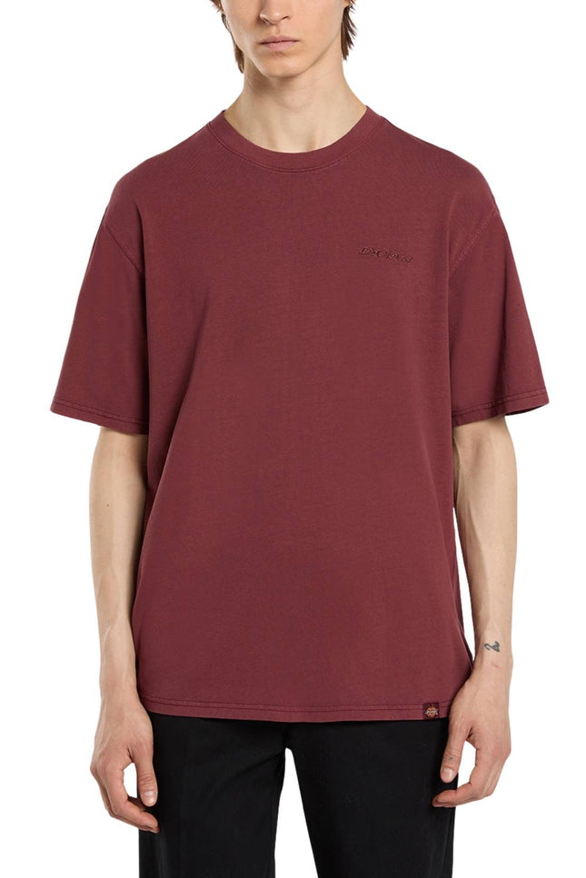 DICKIES - Men's Plentywood T-shirt-0