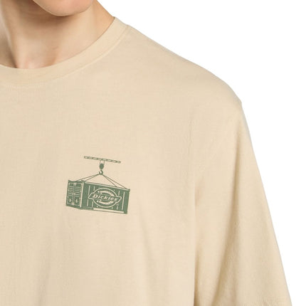 DICKIES - Men's Apison T-shirt-3