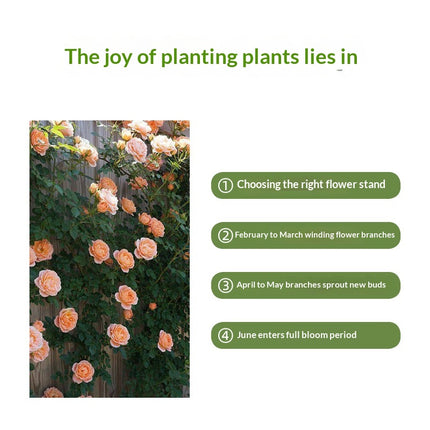 Climbing Plant Planter Balcony Vegetable Garden Box Outdoor