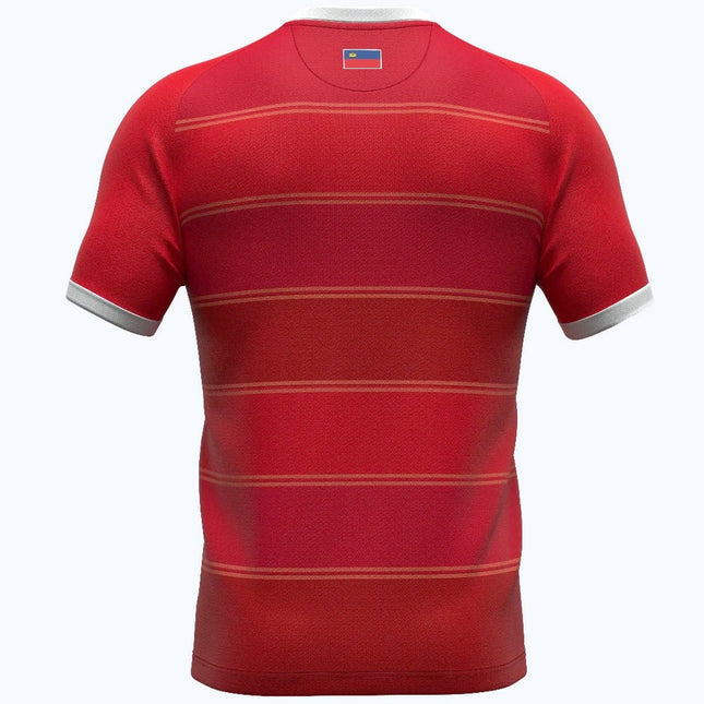 Liechtenstein national team Away Soccer jersey 2024/25 - Errea-1