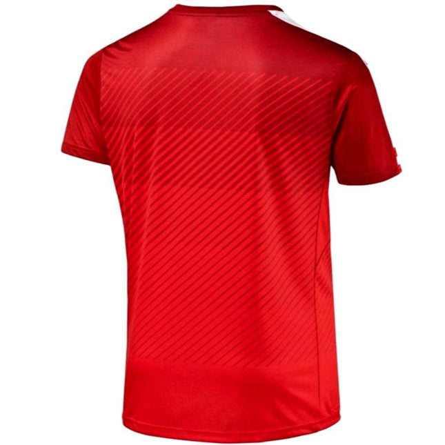 Austria national team Home soccer jersey 2017 - Puma-1