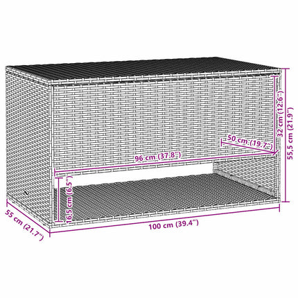 Opbergbox Voor Buiten 100X55X55,5 Cm Poly Rattan - XdropX