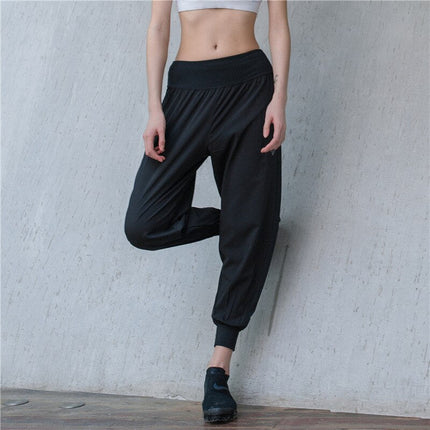 Loose Fit Harem Dance Pants Women's Training Running Sweat Absorbing Quick-Dry Gymnastic Pants Fitness Yoga Pants-4