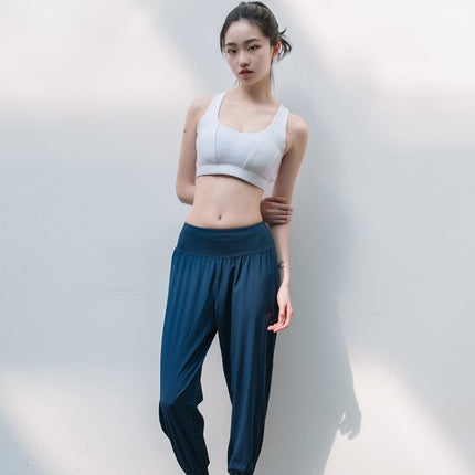 Loose Fit Harem Dance Pants Women's Training Running Sweat Absorbing Quick-Dry Gymnastic Pants Fitness Yoga Pants-1