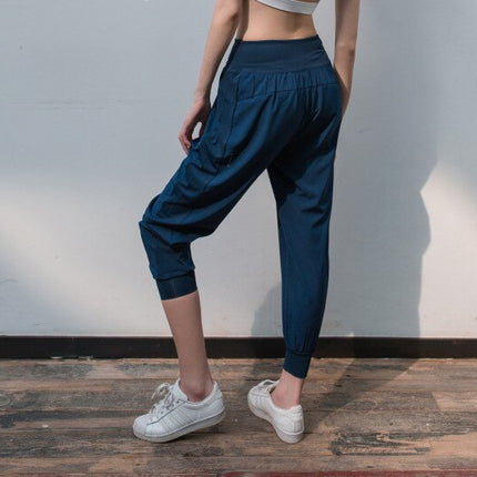 Loose Fit Harem Dance Pants Women's Training Running Sweat Absorbing Quick-Dry Gymnastic Pants Fitness Yoga Pants-3