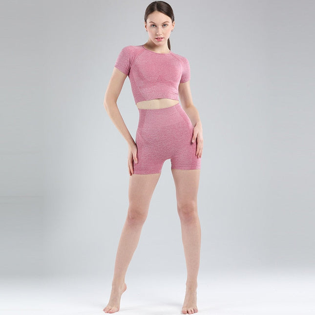 Women Short Sleeve Shirt Yoga Set 2PCS Vital Seamless Sport Suit Gym Clothes Fitness Crop Top Shirt High Waist Shorts Tights-0