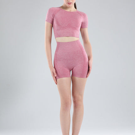 Women Short Sleeve Shirt Yoga Set 2PCS Vital Seamless Sport Suit Gym Clothes Fitness Crop Top Shirt High Waist Shorts Tights-1