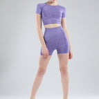 Purple / M / Verenigde Staten